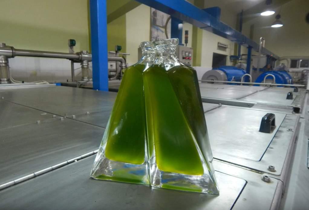 Makri Köyü &Kyklopas Zeytinyağı Fabrikası
